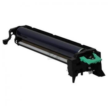 Ricoh Fotoleitertrommel farbig (D1442253)